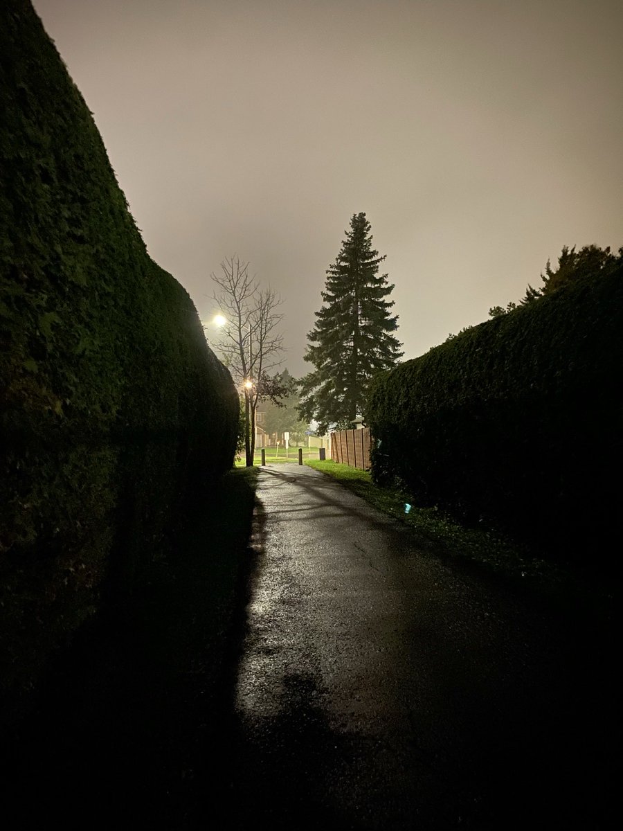 BiOttawaPerv's tweet photo. Would you let me suck your cock at night in places like these? Taken on a walk. 

#biottawa #ottawaswingers #ottawagay #bicouple #eastindian #exhibitionistguy https://t.co/evjCrUoHCf