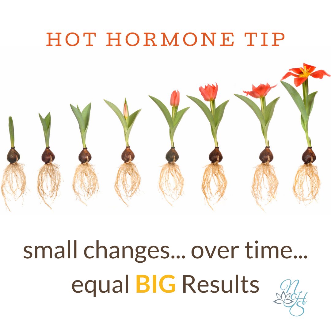 Hot Hormone Tip!
"Small changes over time equal big results" is truly the MAGIC of the entire program.

Registration CLOSES soon to purchase Lifetime Access. Add it now to your health library, and learn at your own pace.

naturalhormonesolution.com/hormonereset-l…