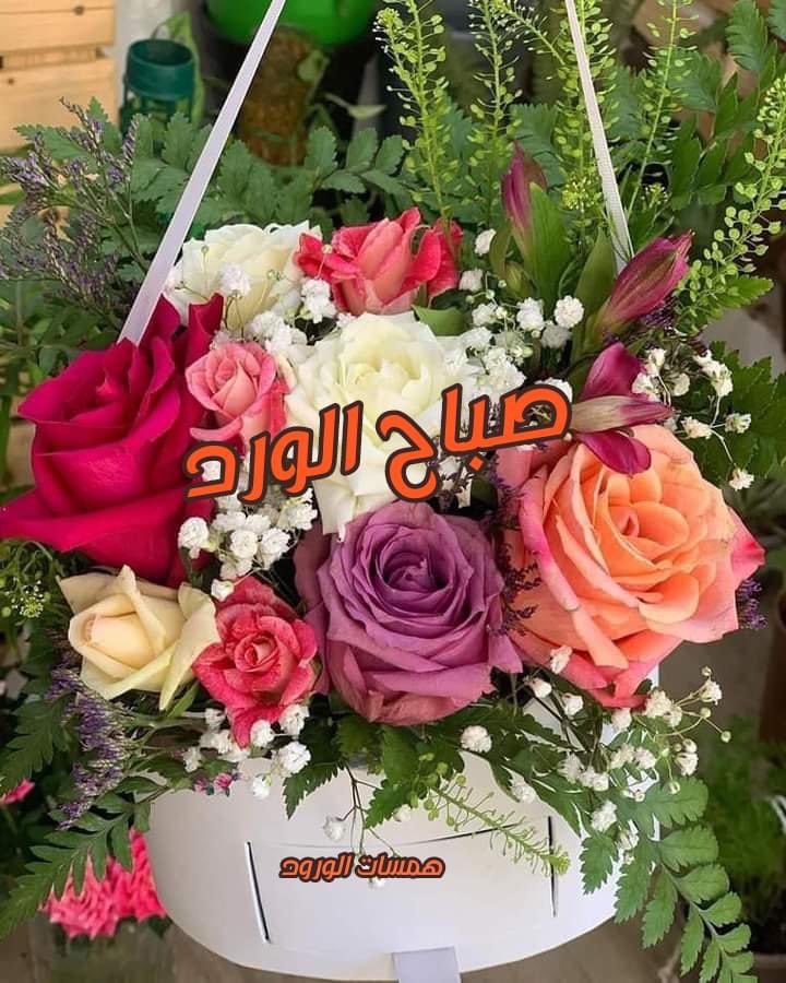 جامل، واجبر الخواطر....
وكن رفيقًا،
 واصفح الصفح الجميل،
لا تكسر قلبًا بكلمة فظّة،💔
ولا تجرح روحًا بتصرف غليظ٠٠٠
اجعل كلماتك بلسمًا على القلوب،
وعباراتك دواءً للجروح،⚘
ليُسعدك الله، ويرفق بك، ويرضى عنك،
فالجزاء من جنس العمل ٠٠
💕🌸 صباح الخير و السعادة احبتي 🌸💕