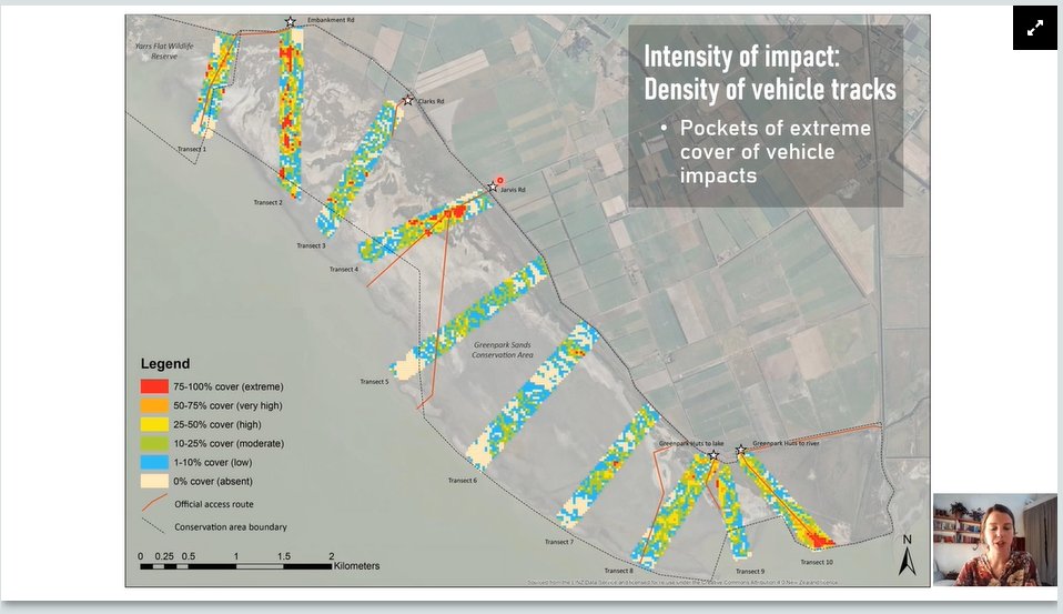 NWT_NZ's tweet photo. Johanna Blakely from Lincoln University used a drone to look at Te Waihora‘s saltmarsh wetland, to measure the extent and intensity of off-road vehicle damage in 2019.  Look at those donuts 😲  "cues to care" likely to be part of the solution.  #INTECOL https://t.co/ARR9mZpEzJ