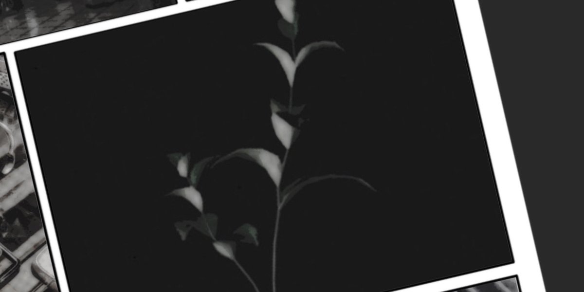 PR0JECT_ALICE's tweet photo. ✯「PR0JECT_ALICE」➟ edits https://t.co/iuFIcdZagV