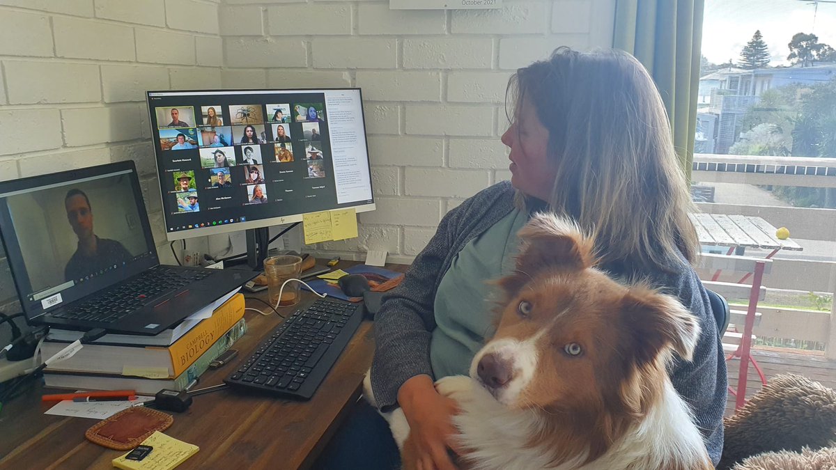 Hanna Scheuffele tweet media