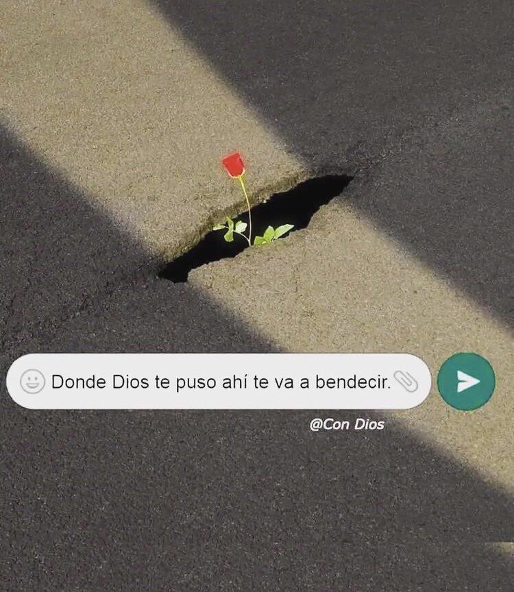 MemoFuentes5's tweet photo. 🙏🏻 https://t.co/jfSgloepru