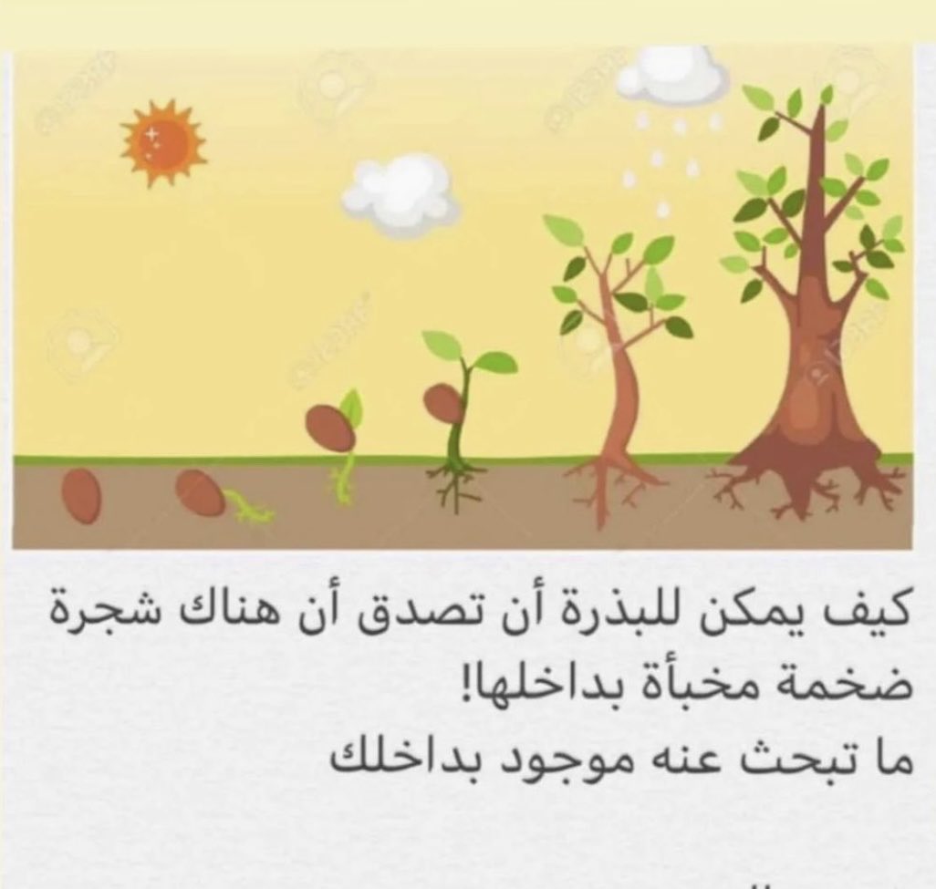 SuadAlaliii's tweet photo. صبحكم الله بالخير 🌼 https://t.co/cljux9LHEl