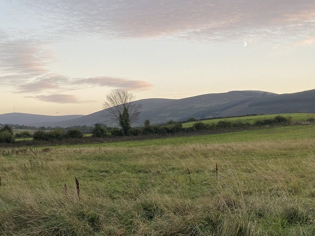 IrishRunningGir's tweet photo. @dublinmarathon All Along @DubMountains #Seahan #Bohernabreena #Hellfire #Cruagh #Tibradden #Kilmashogue https://t.co/nGteXjwVwH