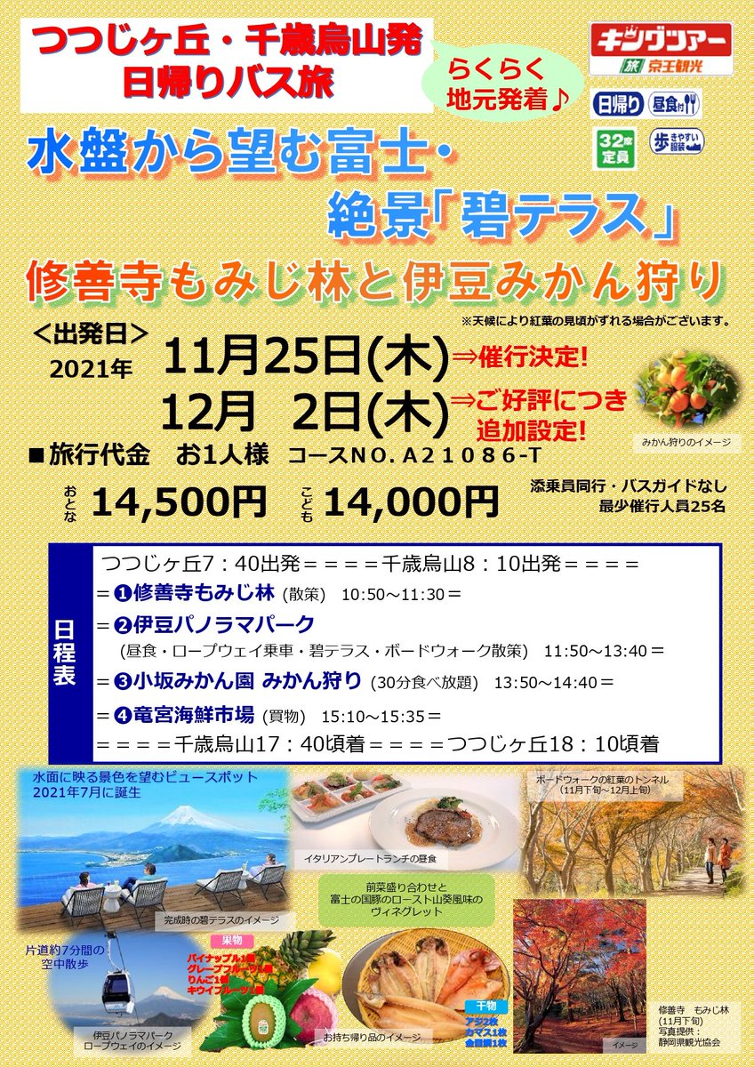 京王観光 公式 朗報 キングツアーバス旅 つつじヶ丘 千歳烏山発着 バス旅 絶景 碧テラス と 修善寺もみじ林 11 25 木 催行決定 ご好評につき12 2 木 追加設定しました みかん狩り 干物 果物お土産付プチどっさ 待望の地元発着