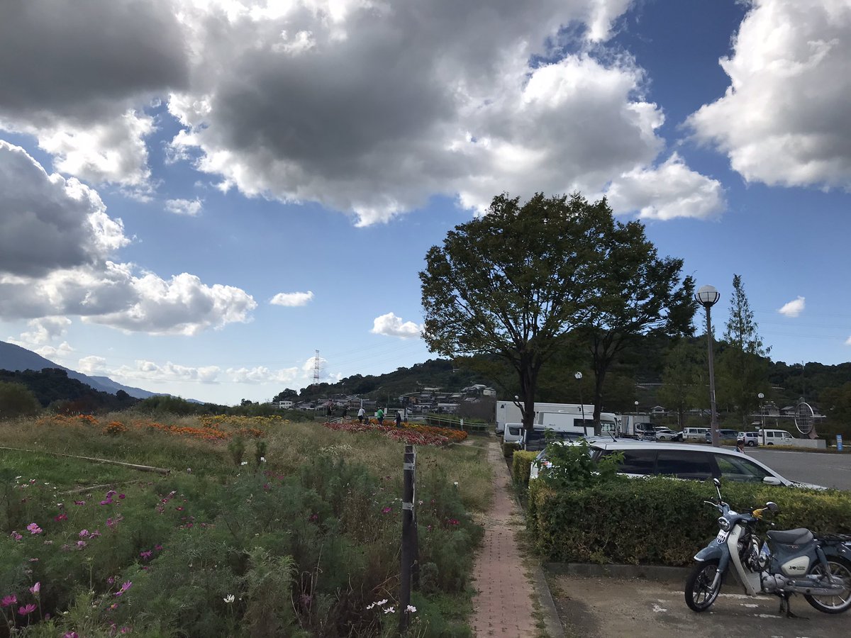 riezou3's tweet photo. 紀ノ川眺めながらの、柿の葉寿司😆
テント張ってキャンプしてる人もいるのね〜⛺️✨風がそよそよ穏やか。鳥と虫の声を聴きながら、ゆっくり時間が流れる感じ♫このまま昼寝したいなぁ〜🤣
さ、帰って出勤しよ。。。 https://t.co/BHaJZpTkmR