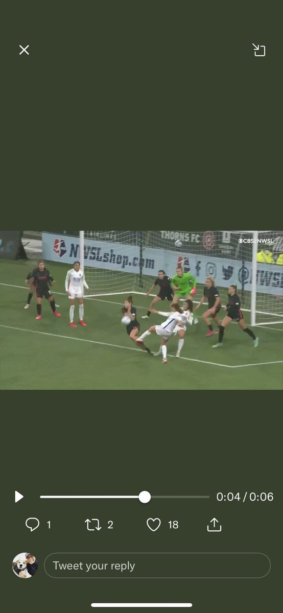 chandlerryen's tweet photo. @NWSL this is a handball now? Should @asalem6 have let it smack her in the face?! @ThornsFC https://t.co/w2mlSgKgDy