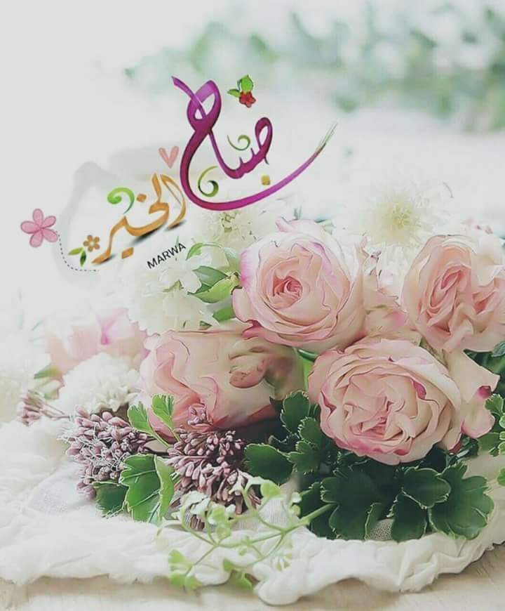 W81027916's tweet photo. .صباح الخير 
وكما جبرت بخاطر #يوسف حين كان مسجوناً فأصبح ملكاً على سجّانيه 
وكما جبرت بخاطر #ابراهيم بنجاة اسماعيل من الذبح ..
وكما جبرت بخاطر #سليمان بالمُلك والقوة 
وكما جبرت بخاطر #عيسى برفعه إليك ..
وكما جبرت بخاطر #أم_موسى برجوع موسى لحضنها
وكما جبرت بخاطر #محمد_رسول_الله https://t.co/VafiZgJbAI