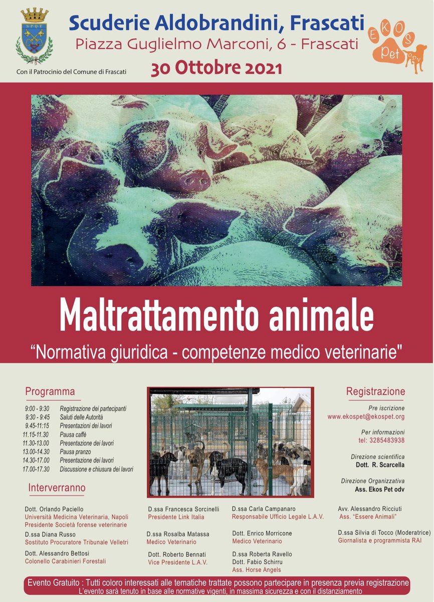 ekospet's tweet photo. https://t.co/IYEjQH11Pe #AnimalRights #AnimalWelfare #forense #veterinary #AnimalCruelty https://t.co/pHbiMOTgim