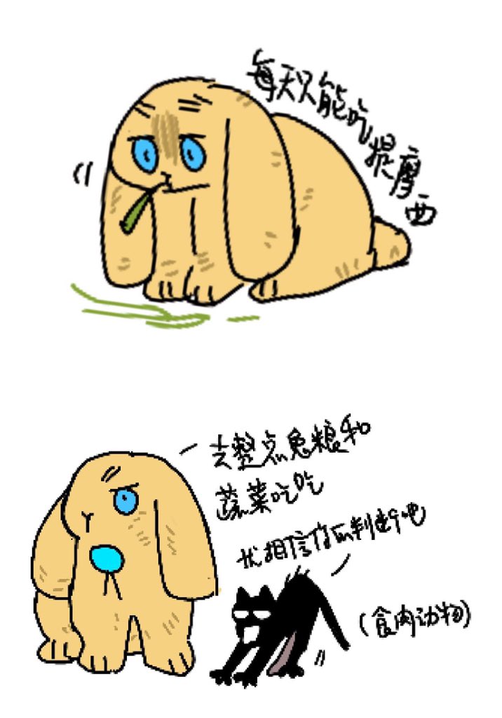 厨余纸箱 tweet media