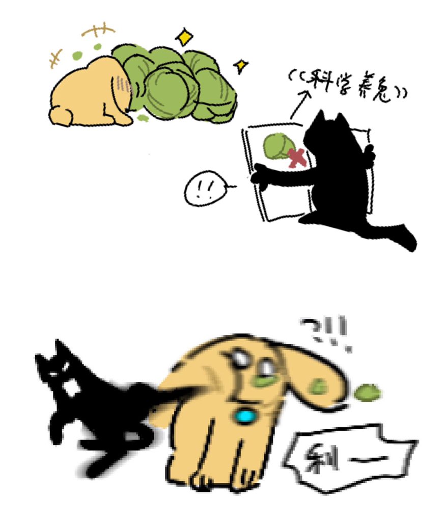 厨余纸箱 tweet media