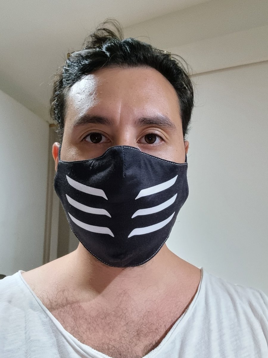 Got my Vandheer mask today!