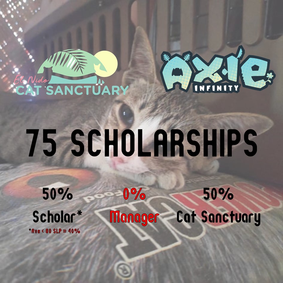 ENCatSanctuary's tweet photo. 🚨🚨Need 75 @AxieInfinity scholars!🚨🚨

Scholarship for a cause where the managers share is a contribution towards the establishment of the @ENCatSanctuary!

Details here: https://t.co/lcqABZQaFw

#axieinfinity #axieinfinityscholarship #axiescholarship #elnidocatsanctuary #encs https://t.co/JYJAVBSDdb