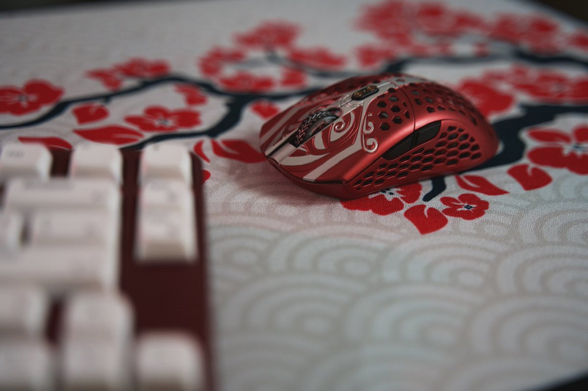 Curree8's tweet photo. @finalmouse red is still better? or maybe black and white next time 😉 https://t.co/dk1z2qLVMr