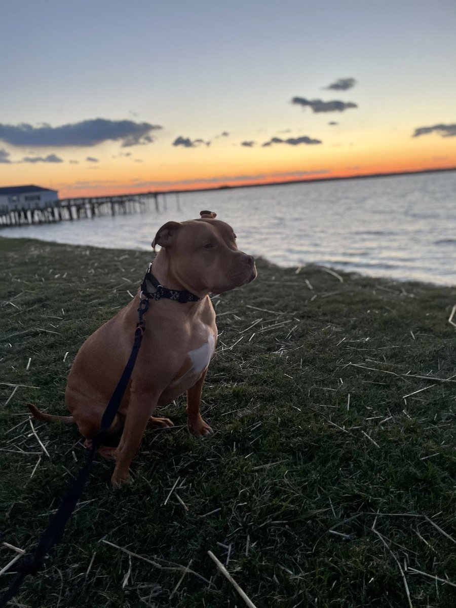_KTMAY's tweet photo. #CareCreditSweepstakes https://t.co/w5xYuJ1BqE