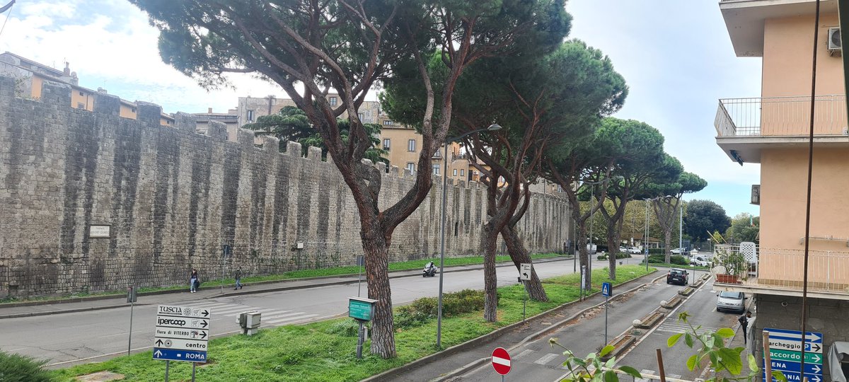 verdiecontenti's tweet photo. 9 alberi... neanche 1 si può salvare? #verdeurbano #alberi #Viterbo #tree #verdepubblico https://t.co/eQnoANoQEh