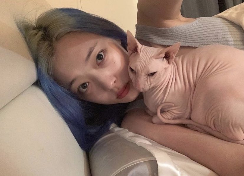 functionlove's tweet photo. 211013+1 f(Sulli) = Goblin Instagram Update (Account Run by Sunah) https://t.co/6oBw6LTXwm https://t.co/Ijw5m7TPFi