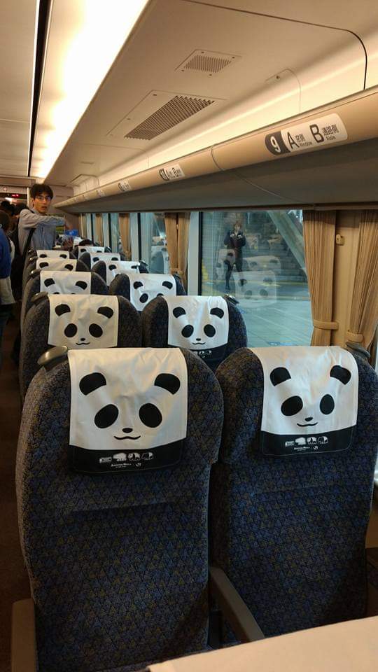 ichigo_kurimu's tweet image. One of the cutest trains I ever got to ride. The other one was the cat train (photos later) I was so lucky to have caught it #Panda #pandatrain #japantravel