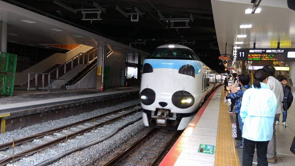 ichigo_kurimu's tweet image. One of the cutest trains I ever got to ride. The other one was the cat train (photos later) I was so lucky to have caught it #Panda #pandatrain #japantravel