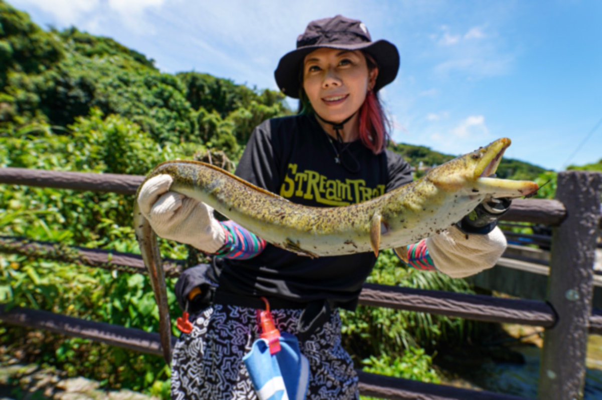 トモチン 沖縄大ウナギ 日本に生息する 淡水性のウナギ目としては最大の魚という事で 大きいものは2メートルだとか ヨーロッパオオナマズは コロナの影響で まだ行けておりませんが その日に備え ファイトの練習に更なる大物釣りたーい トモチン 沖縄大ウナギ 日本に生息する 淡水性のウナギ目としては最大の魚という事で 大きいものは2メートルだとか ヨーロッパオオナマズは コロナの影響で まだ行けておりませんが その日に備え ファイトの練習に更なる大物釣りたーい