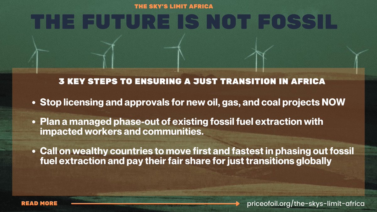 But the weight of the evidence is that the escalating risks of fossil fuel extraction for economies, the climate, and frontline communities mean there is now little to gain and *everything to lose* from building new fossil fuel projects in Africa. Here's what to do instead: