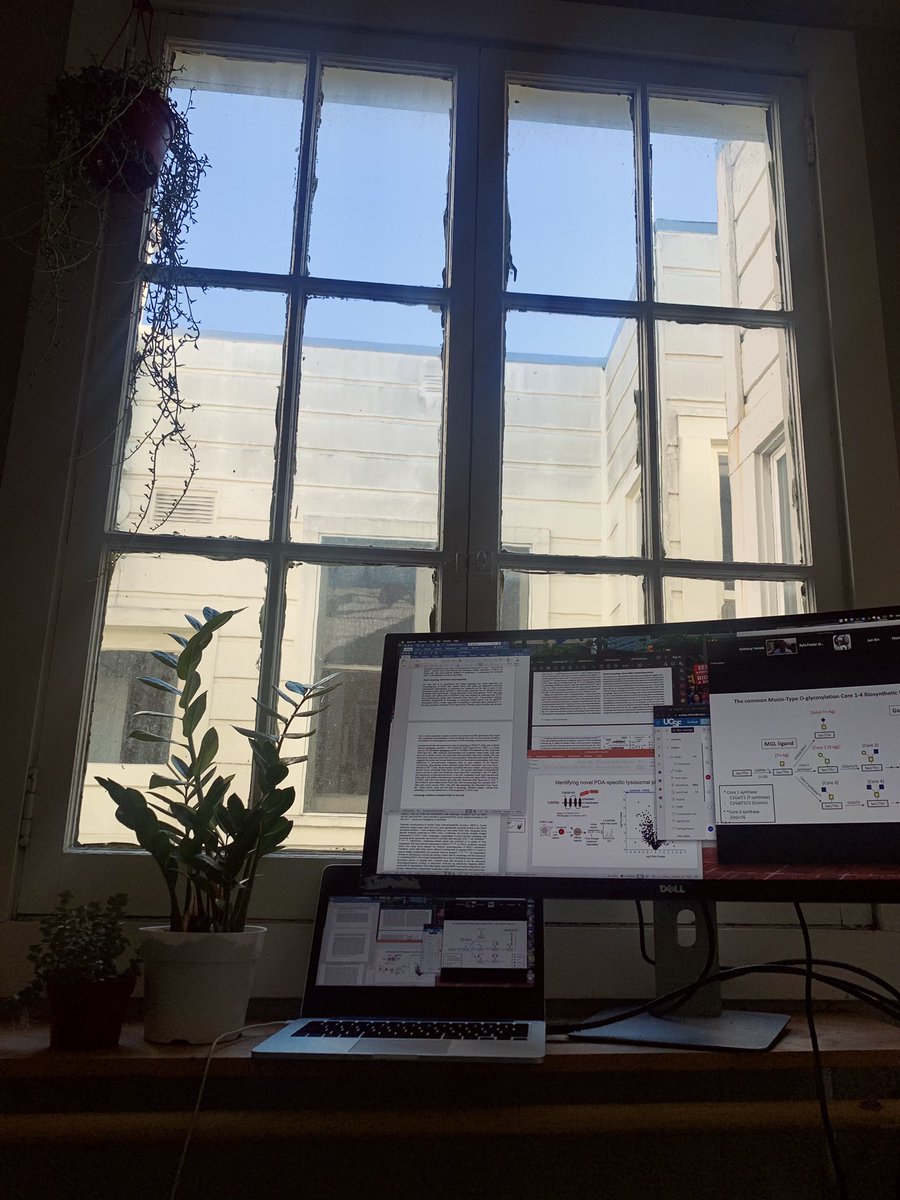 AnthonyVenida's tweet photo. On spending the entire day writing my dissertation.
*cue Kid Cudi
Day and night. I toss and turn, I keep stressing my mind (what what).
#PhDead https://t.co/e5lQEo3SmB