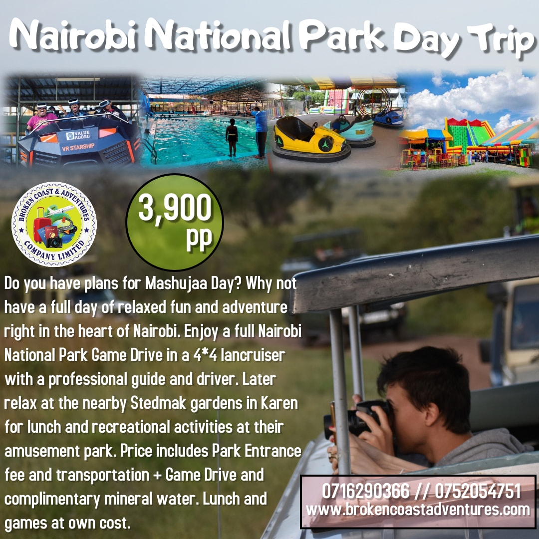CoastBroken's tweet photo. Jaza van twende Nairobi National Park#ZurunaBrokenCoast #TembeaKenya #Magicalkenya #DestinationEA #getaway #Kenyainstatravel #LetsExploretogether #Naturephotography #explore #travelphotography https://t.co/FPTCqFoPOE