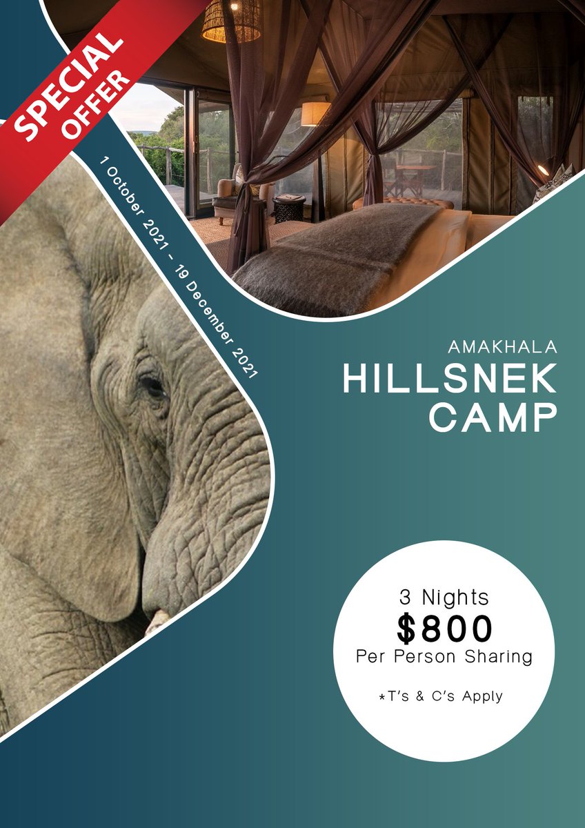 Limited Special offer!!!
Hillsnek is a spectacular, intimate 4 star lodge on Amakhala Game Reserve.
With personal service, delicious meals and romantic luxury safari tents on offer there is not much more one can wish for.
Rates: $ 800 per person sharing for a 3 night stay.