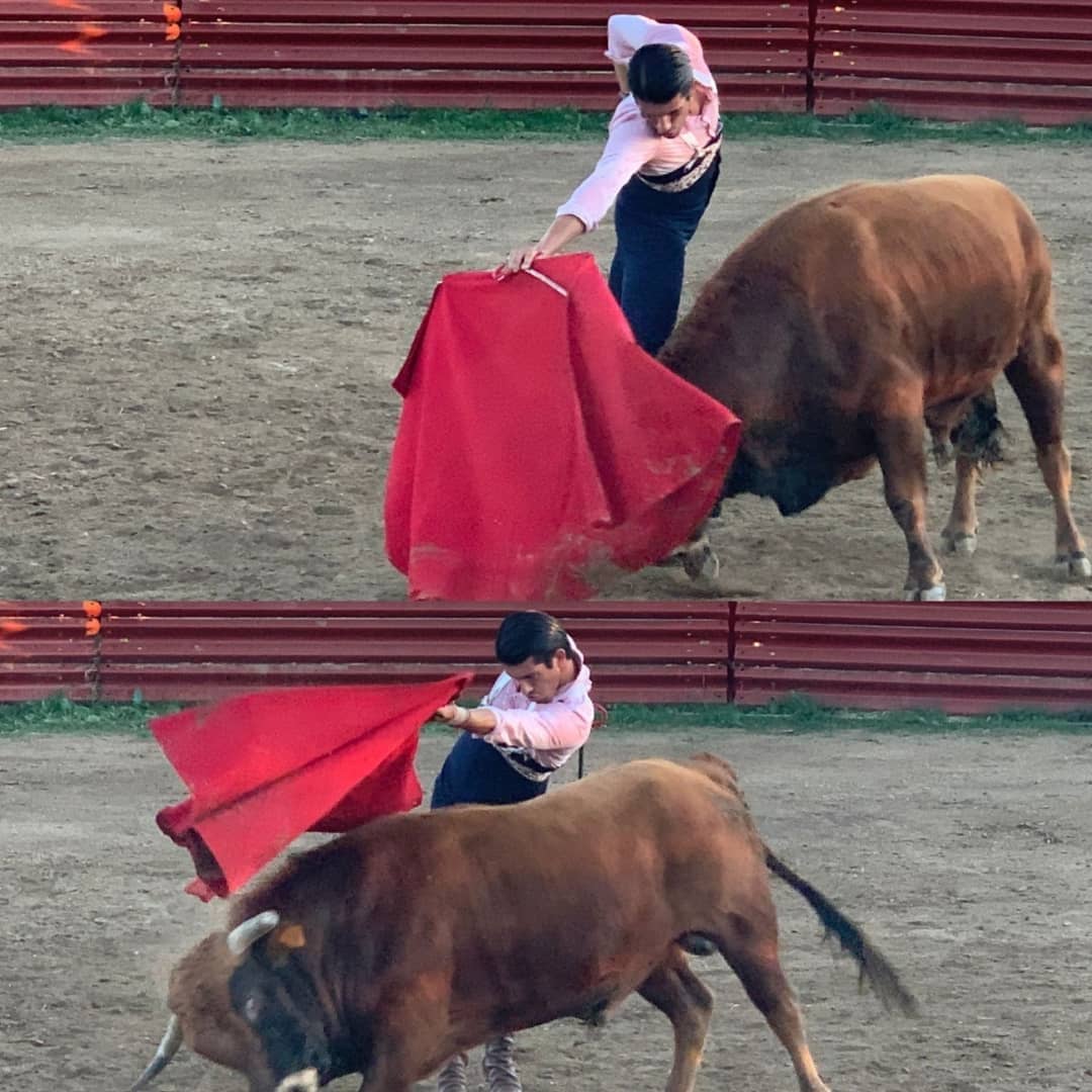 sarititi28's tweet photo. Tardes bonitas, de arte,de aprendizaje y de mejor compañía #Calita #Bellosmontes #tentadero https://t.co/vLdCPmqQuJ