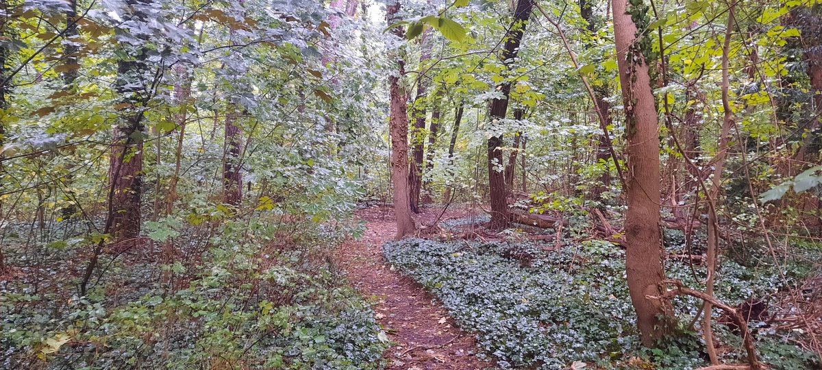 climatecities's tweet photo. Work of the future? Work environment of today! Walking while working is a gift we highly appreciate due to a flexible working culture we try and establish @climatecities https://t.co/YsmI3djI6F