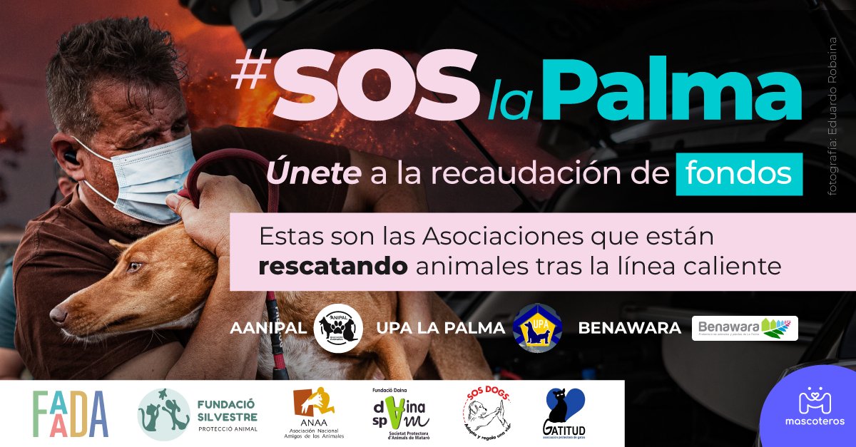 Lanzada la iniciativa #SOSLaPalma, una recaudación de fondos en favor de las protectoras de animales que están trabajando en primera línea del volcán. 
Increíble la respuesta hasta ahora. 

👉Si aún no has donado: bit.ly/2YL4rqo
 
➕Más Info: bit.ly/3FHWzXQ