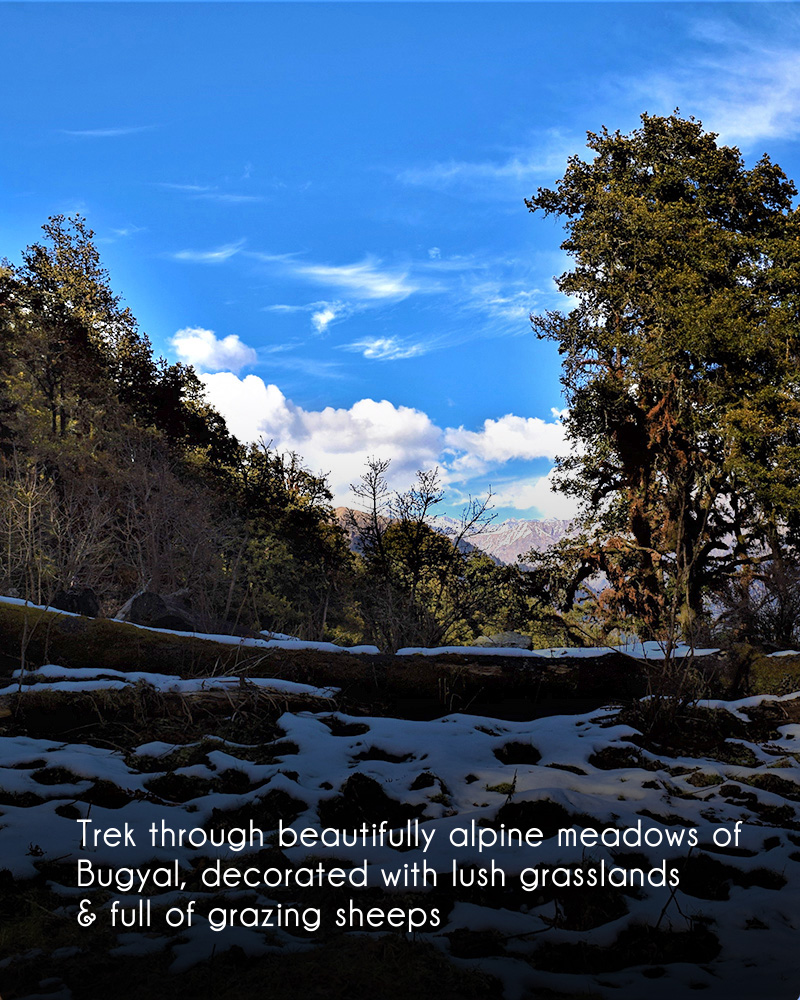 ReccyOutdoors's tweet photo. DAYARA BUGYAL TREK
Duration :3+ days
Hub : Dehradun
Best Season : May to November
Difficulty : Introductory
Max Elevation - 3639m

#dayarabugyal #bugyal #alpine #meadow #mountains #trekking #camping #camp #valley #nature #naturelovers #hikingtrails #wintertreks #wanderlust https://t.co/cNvltMEO3F