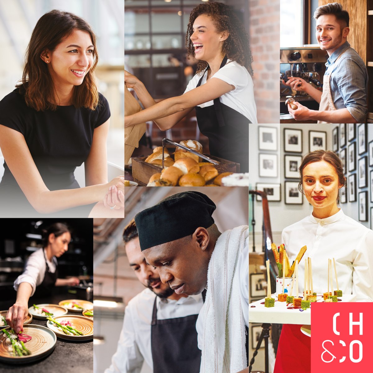 chandco's tweet photo. No matter your background, skill set or passion, there's a place for you at CH&amp;CO.

We have all kinds of great opportunities available across our brands right now - inside stadiums, international headquarters, independent schools &amp; more.
Take a look: https://t.co/wMn2xwbCGV https://t.co/UTsRu5hL3Z