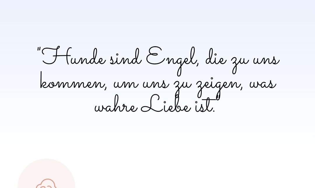 simba (@elisabe15656131) on Twitter photo 
