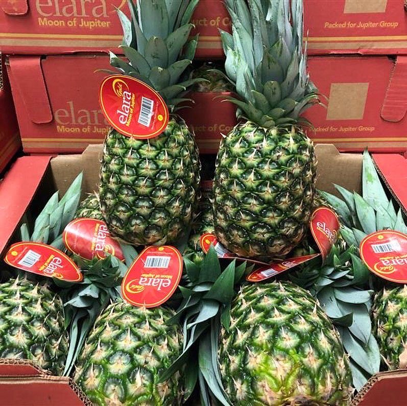 Jupiter__Group's tweet photo. 🇨🇷 🍍 Packed in our Elara Gold brand, our MD2 pineapples are grown to a premium specification and known for their superior taste and long shelf life.
#pineapple #Globalgrower #growers #fruitfarm #farming #agriculture #agronomy #fresh #healthfood #healthfruit https://t.co/uvKAfoS9n4
