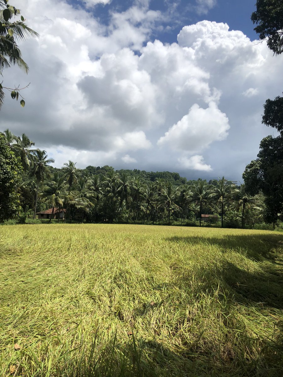 gvp3387's tweet image. #shotoniphone #nativeplace