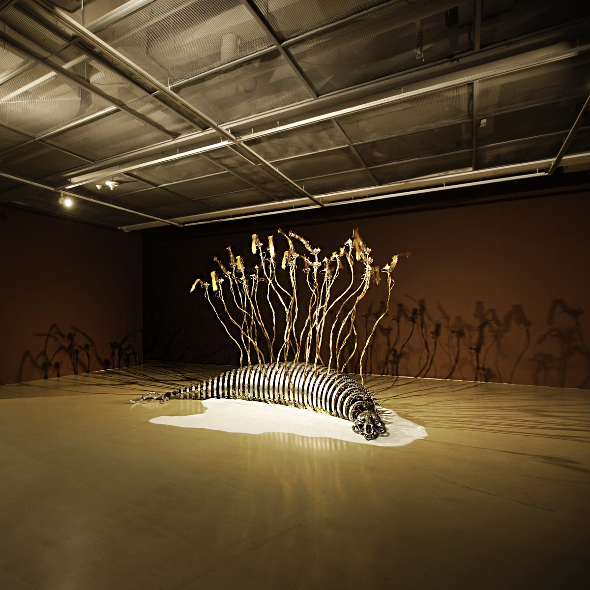 BorusanContempo's tweet photo. 2013 yılında açılan "Anima", sanatçı Choe U-Ram'ın düşünsel süreçlerine ışık tutan 51 deseni de içeriyordu. #ChoeURam #tbt https://t.co/PvnFB6Y62W https://t.co/8ARUqgfo90