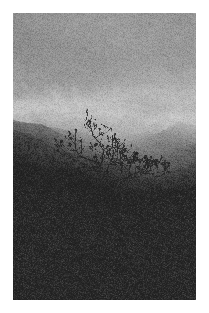 CCholeriker's tweet photo. @A_NFT_Collector "A Monochrome Journey" available at https://t.co/Di7pGowFWc https://t.co/2hQDQhjDet