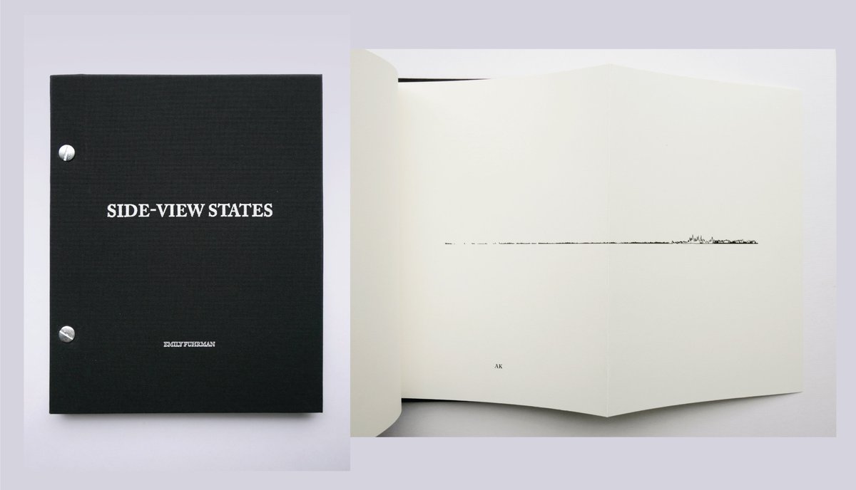 visapnet's tweet photo. Side-view States is an atlas visualizing the 50 U.S. state boundaries from the side. Artowrk by Emily Fuhrman. More artworks coming soon, stay tuned! https://t.co/1ptSsZPP62 @ieeevis #ieevis https://t.co/MC0aHMixSo