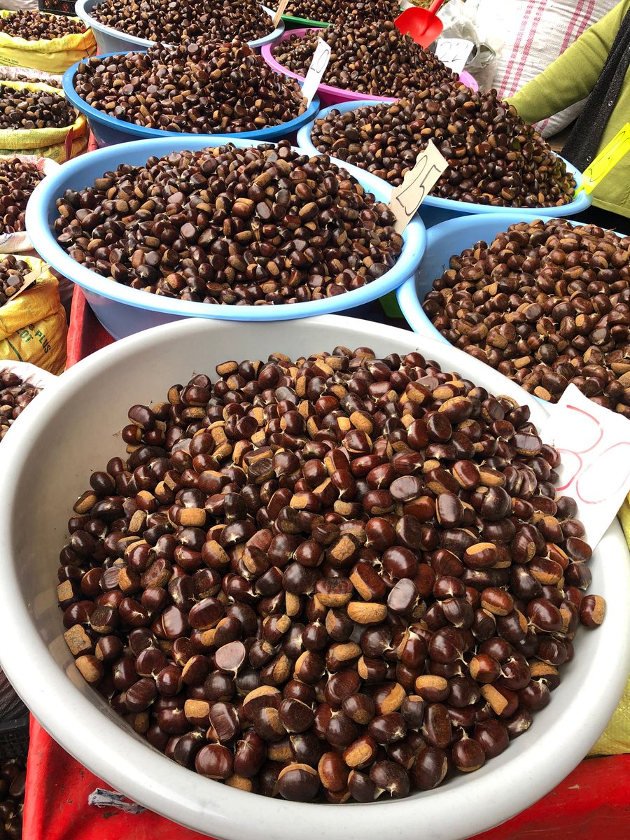 Kestane kebap yemesi sevap. #kestane #sinop #karadeniz #erfelek