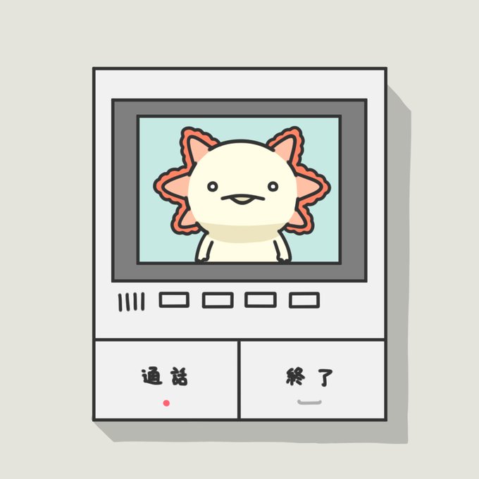 Twoucan 人生はウーパールーパー Axolotl13