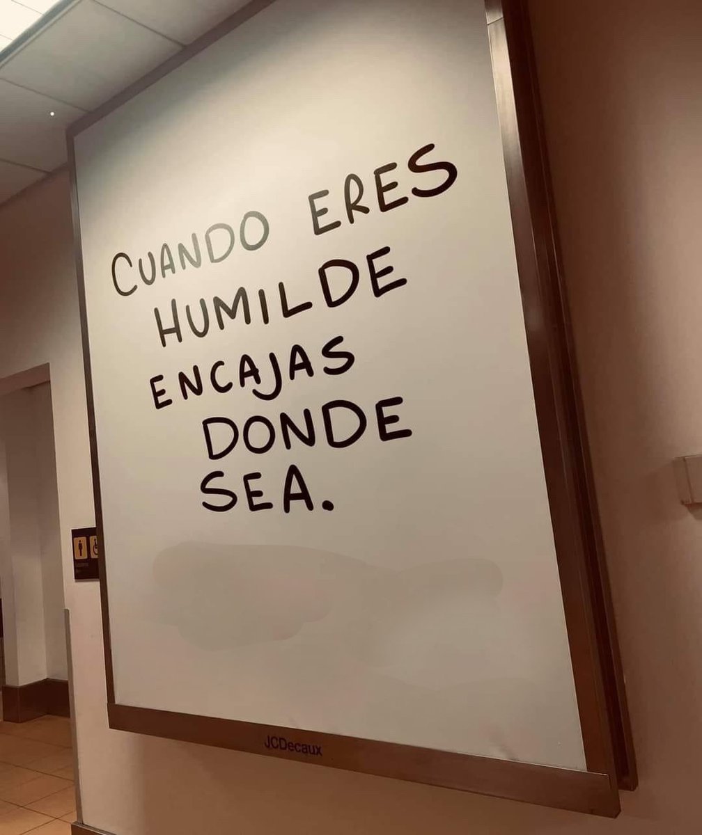 Matteo Bustamante tweet media