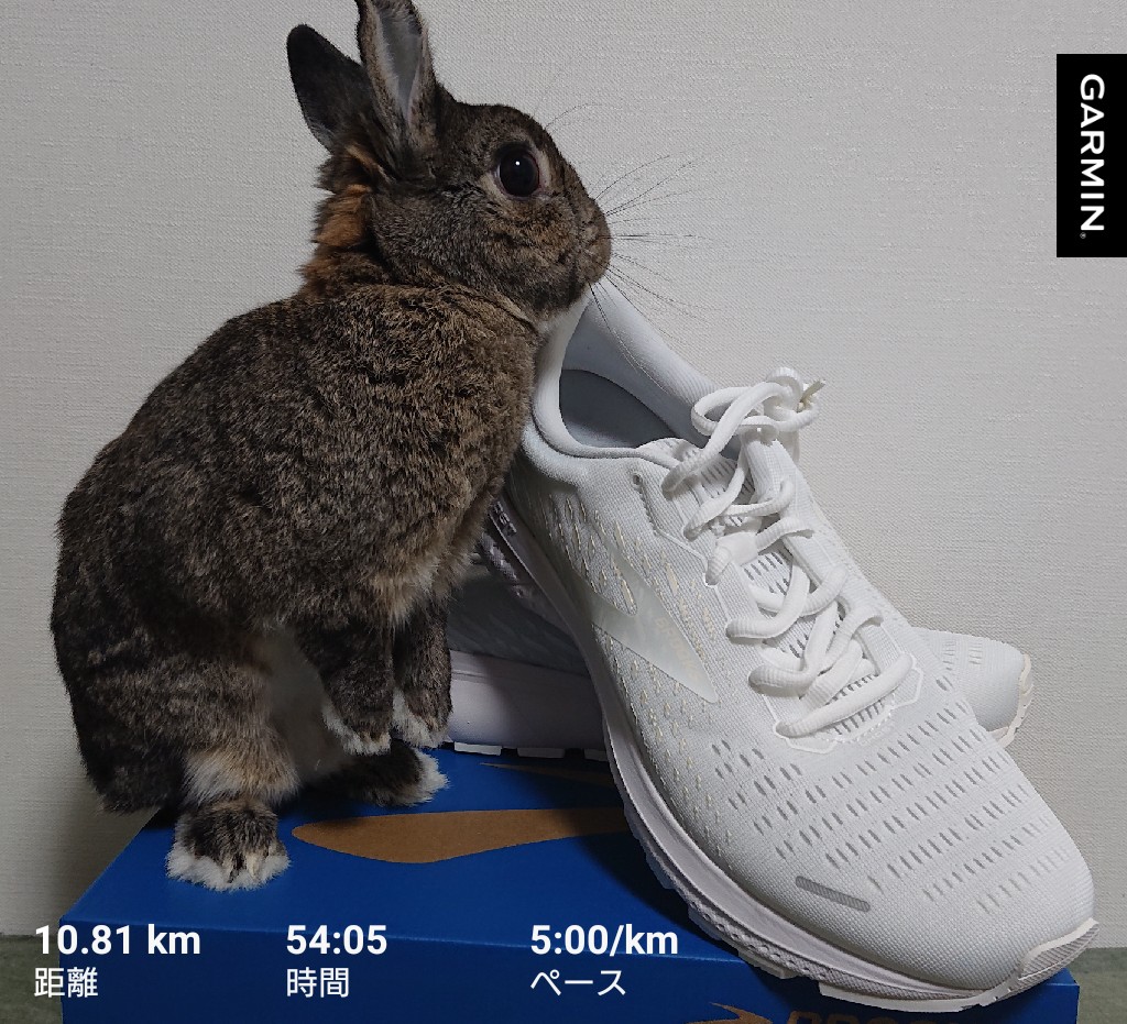 usagi_chiepapa's tweet image. 昼休みjog🏃‍♂️
10月9日(土)にフルマラソン走ったけど、ゴースト13で走ったおかけで筋肉痛はほぼ無くなった💪
もうスピード練習もできそう🐰
#BROOKS
#GHOST13