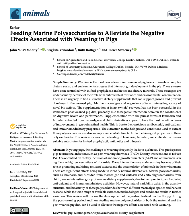 John O Doherty (@johnodoherty19) on Twitter photo See our latest review on feeding seaweed polysaccharides to alleviate the negative effects associated with weaning in pigs.
<a href="/ucdagfood/">UCD School Ag & Food</a> <a href="/ucdvetmed/">UCD School of Veterinary Medicine</a> <a href="/torres_sweeney/">torres sweeney</a> See our latest review on feeding seaweed polysaccharides to alleviate the negative effects associated with weaning in pigs.
<a href="/ucdagfood/">UCD School Ag & Food</a> <a href="/ucdvetmed/">UCD School of Veterinary Medicine</a> <a href="/torres_sweeney/">torres sweeney</a>