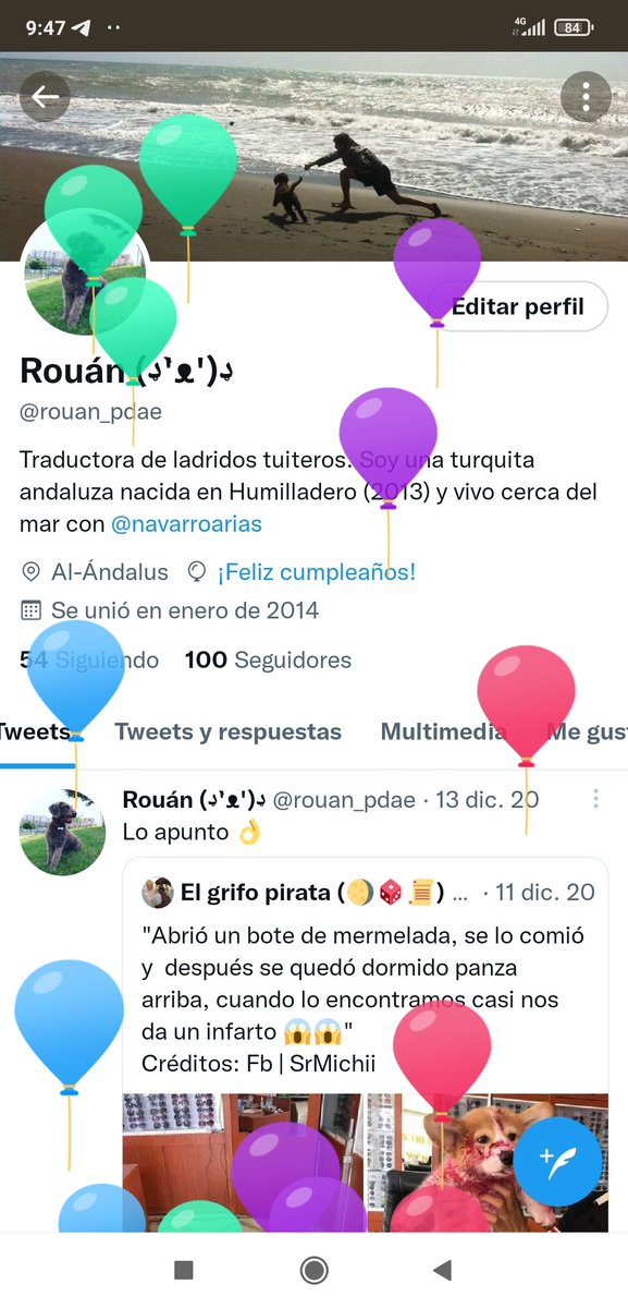 rouan_pdae's tweet photo. A Clara le encanta, globos en mi perfil 🎈🐶 https://t.co/vEE2hDukZP