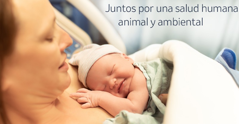 msd_es's tweet photo. Health Innovation Forum 2021, un espacio único que conecta profesionales de Salud Humana, Animal y Ambiental. No espere más para conocerlo, el cambio ya está aquí. Regístrese aquí #MSDHIF21 #MovimientoOneHealth