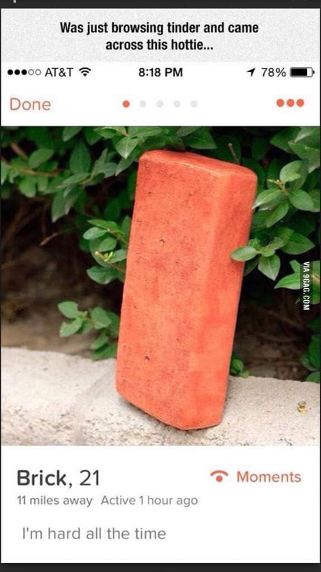 doraqdehora's tweet photo. naw cuz i said bricks were whores and my friends told me I was crazy. what is this if not the truth. https://t.co/NYrBqWGE6y