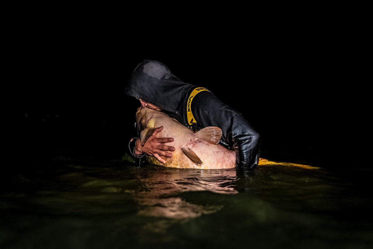 Vasswaders's tweet photo. Ernest and his team won the huge Czech Stairs2hell competition and caught the record of Lake Novomlynska 29,820 kg.
Congratulations guys ๐
#carp #fishing #czech #stairs2hell https://t.co/yaXKmhptZZ
