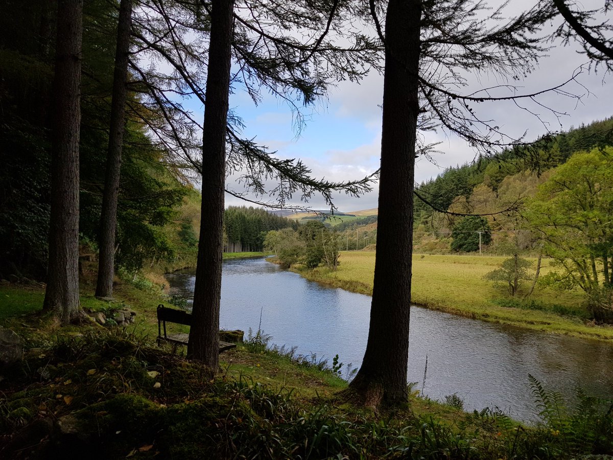 CosaigInners's tweet photo. This walk along the Tweed was a new one for us. Still finding fabulous spots after all this time ❤ #GoTweedValley #walkingthedogs https://t.co/l4lXwqGIuq